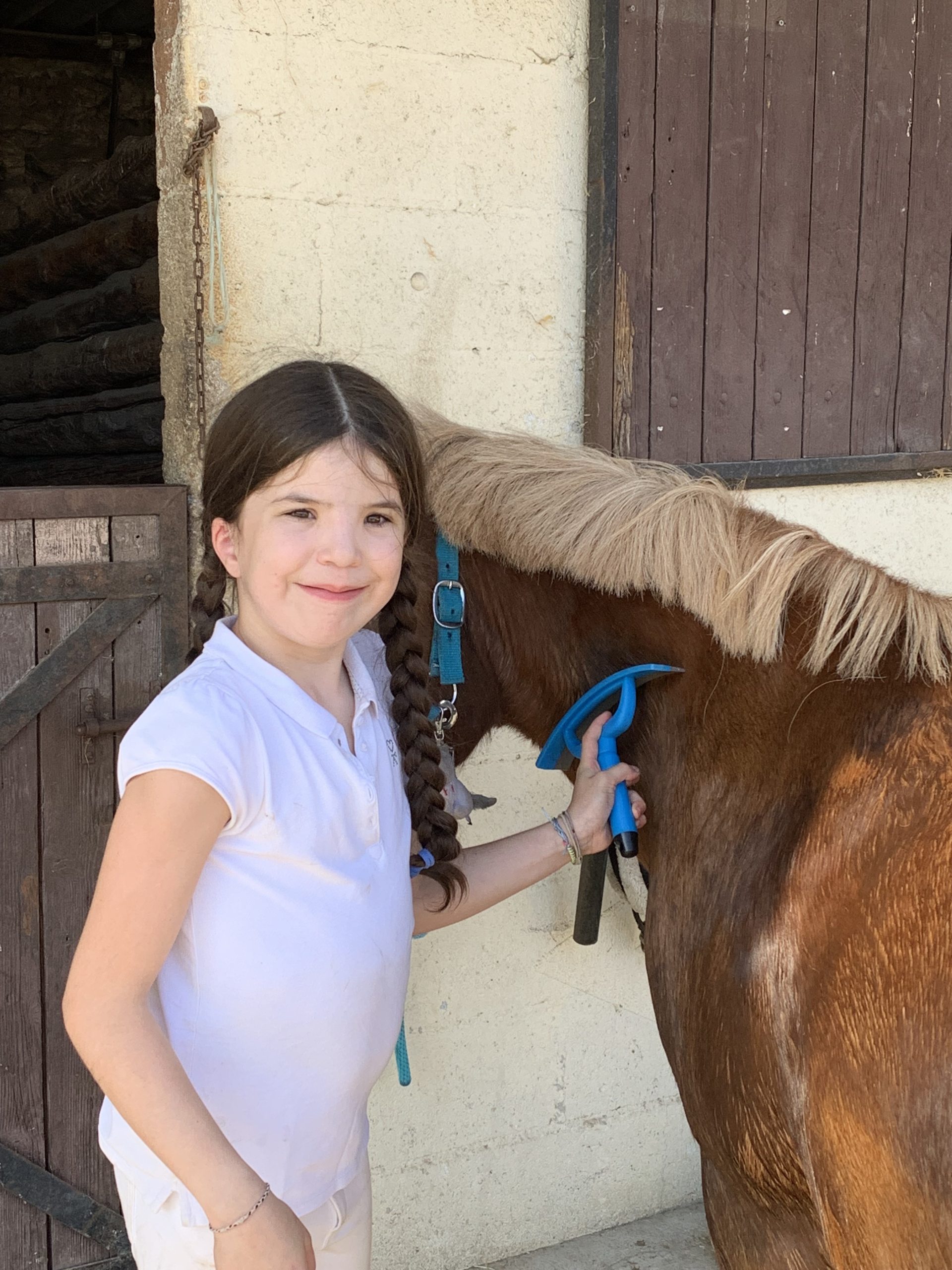 Equitation - Jeunes Sports Passion