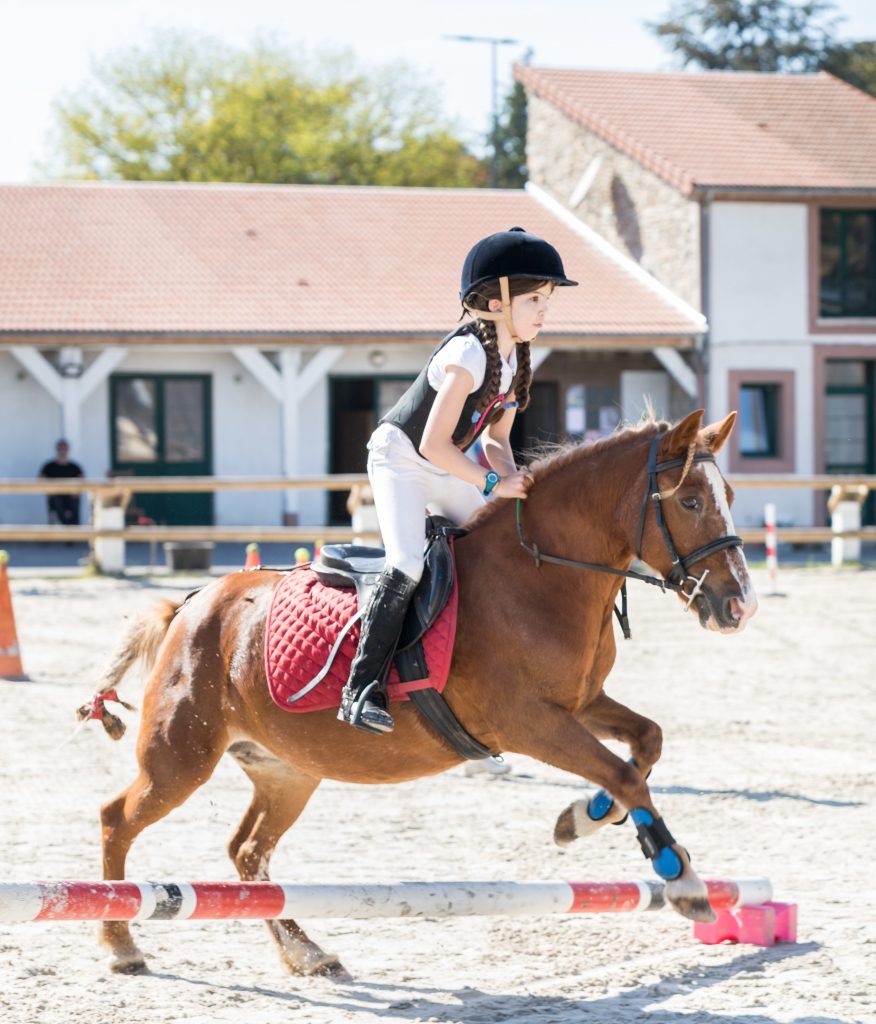 Equitation concours - Jeunes Sports Passion