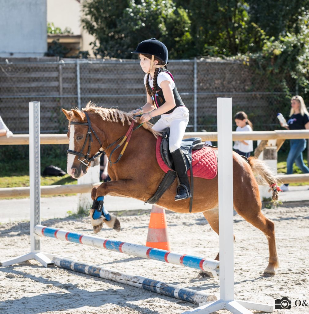 Equitation concours 2 - Jeunes Sports Passion